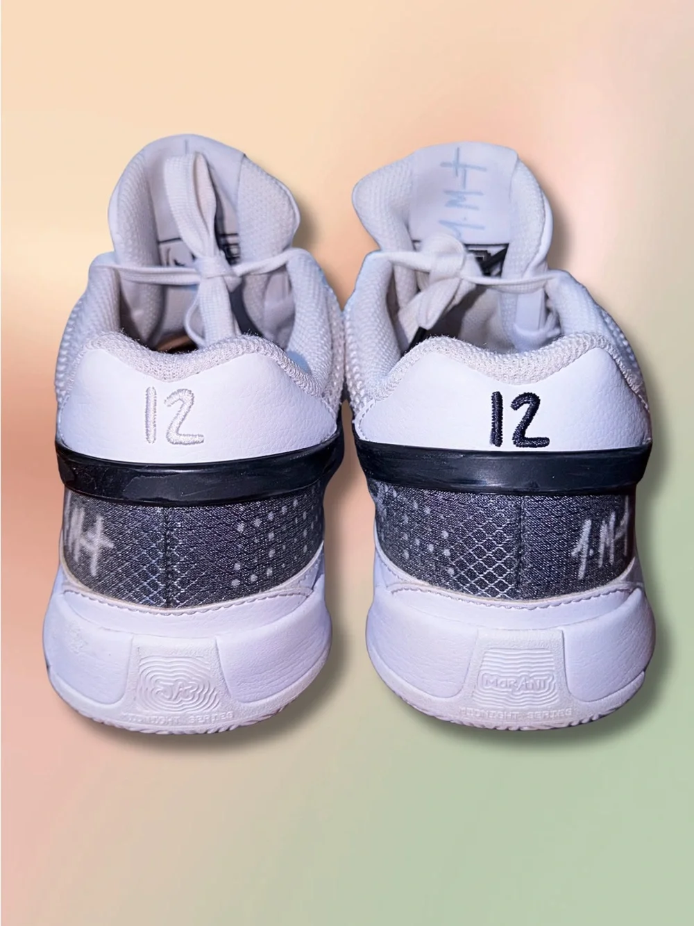 Nike Ja 1 GS 6Y White Black “Day One” DX2294-102 Basketball Shoes